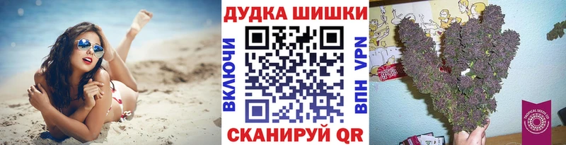наркотики  Печора  Конопля ГИДРОПОН 